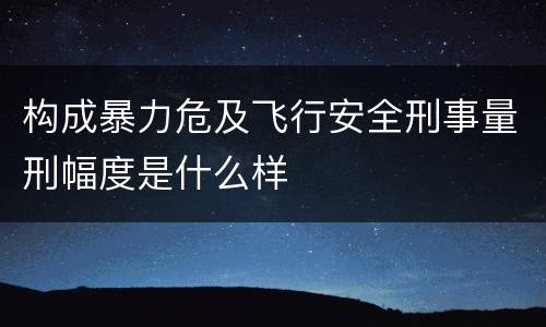 构成暴力危及飞行安全刑事量刑幅度是什么样