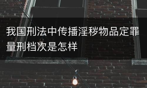 我国刑法中传播淫秽物品定罪量刑档次是怎样