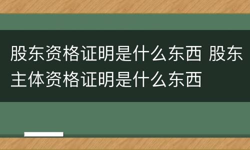 股东资格证明是什么东西 股东主体资格证明是什么东西