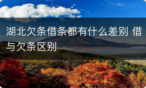 湖北欠条借条都有什么差别 借与欠条区别
