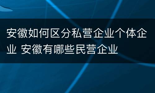 安徽如何区分私营企业个体企业 安徽有哪些民营企业