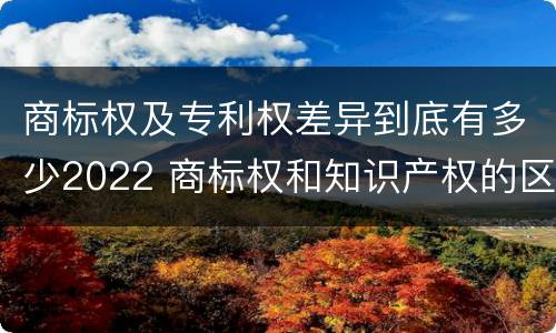 商标权及专利权差异到底有多少2022 商标权和知识产权的区别