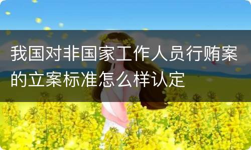 我国对非国家工作人员行贿案的立案标准怎么样认定