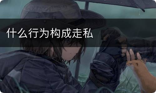什么行为构成走私