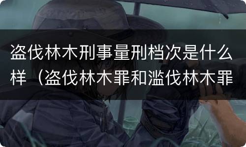 盗伐林木刑事量刑档次是什么样（盗伐林木罪和滥伐林木罪有什么区别）