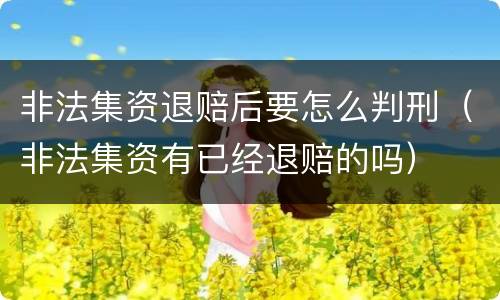 非法集资退赔后要怎么判刑（非法集资有已经退赔的吗）