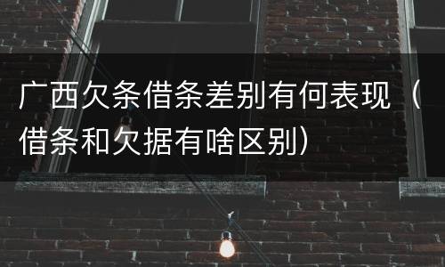 广西欠条借条差别有何表现（借条和欠据有啥区别）