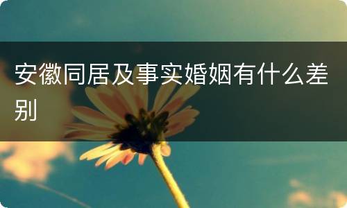 安徽同居及事实婚姻有什么差别