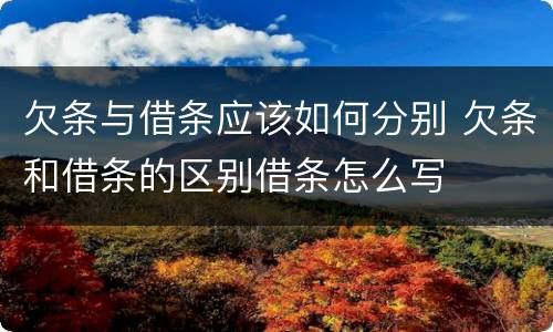 欠条与借条应该如何分别 欠条和借条的区别借条怎么写