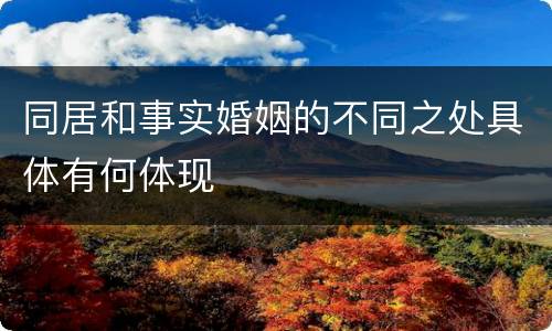 同居和事实婚姻的不同之处具体有何体现
