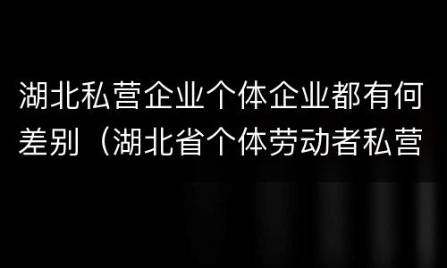 湖北私营企业个体企业都有何差别（湖北省个体劳动者私营企业协会）