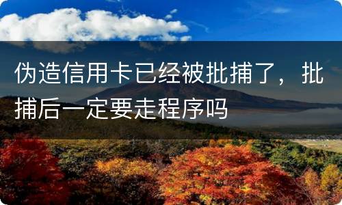 伪造信用卡已经被批捕了，批捕后一定要走程序吗