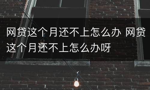 网贷这个月还不上怎么办 网贷这个月还不上怎么办呀