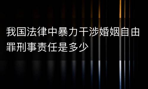 我国法律中暴力干涉婚姻自由罪刑事责任是多少