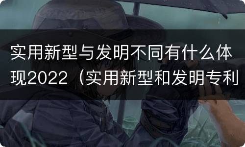 实用新型与发明不同有什么体现2022（实用新型和发明专利举例）