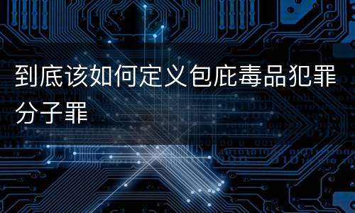 到底该如何定义包庇毒品犯罪分子罪