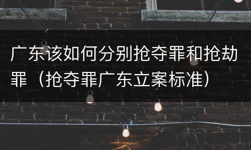 广东该如何分别抢夺罪和抢劫罪（抢夺罪广东立案标准）