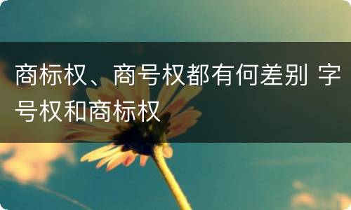商标权、商号权都有何差别 字号权和商标权