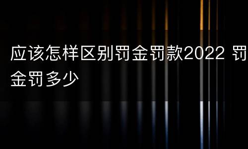 应该怎样区别罚金罚款2022 罚金罚多少