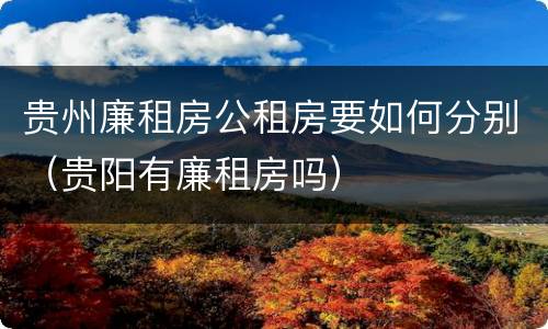 贵州廉租房公租房要如何分别（贵阳有廉租房吗）
