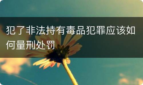 犯了非法持有毒品犯罪应该如何量刑处罚