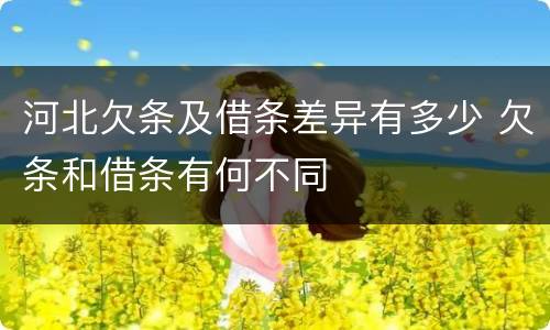 河北欠条及借条差异有多少 欠条和借条有何不同