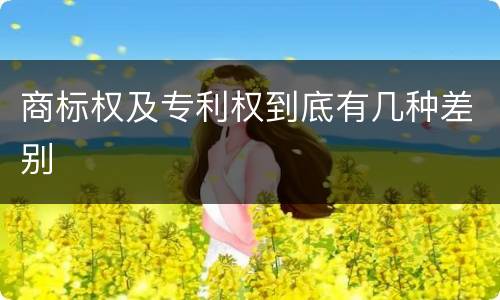 商标权及专利权到底有几种差别