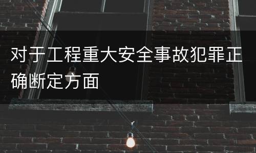 对于工程重大安全事故犯罪正确断定方面