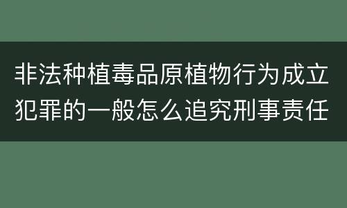 非法种植毒品原植物行为成立犯罪的一般怎么追究刑事责任