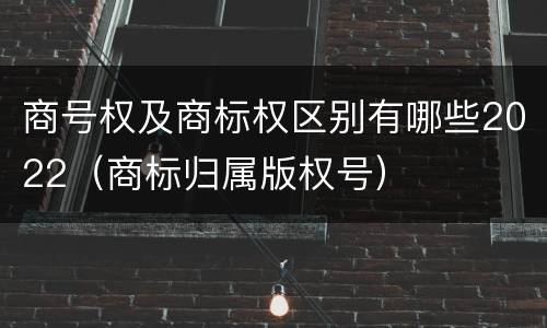 商号权及商标权区别有哪些2022（商标归属版权号）