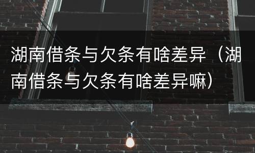 湖南借条与欠条有啥差异（湖南借条与欠条有啥差异嘛）