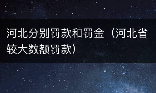 河北分别罚款和罚金（河北省较大数额罚款）