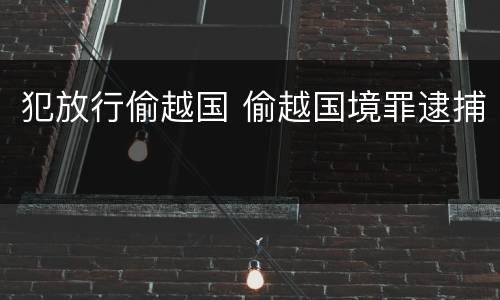 犯放行偷越国 偷越国境罪逮捕