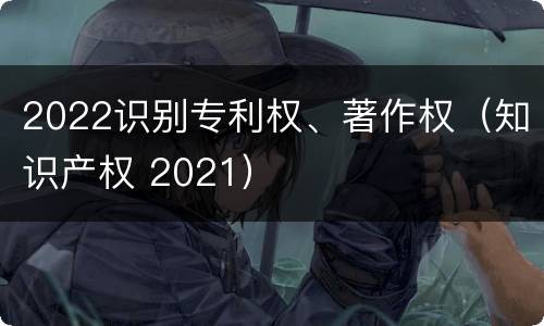 2022识别专利权、著作权（知识产权 2021）