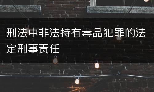 刑法中非法持有毒品犯罪的法定刑事责任