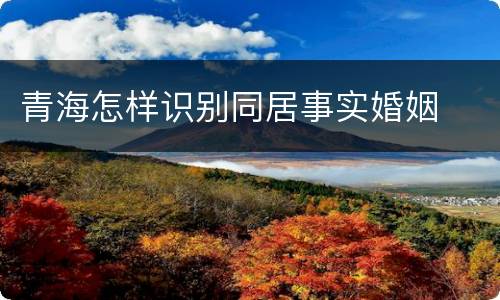 青海怎样识别同居事实婚姻