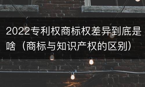 2022专利权商标权差异到底是啥（商标与知识产权的区别）