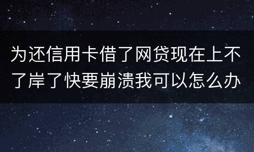为还信用卡借了网贷现在上不了岸了快要崩溃我可以怎么办