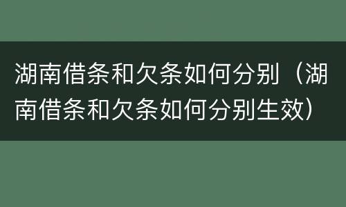 湖南借条和欠条如何分别（湖南借条和欠条如何分别生效）