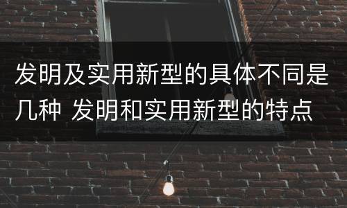 发明及实用新型的具体不同是几种 发明和实用新型的特点