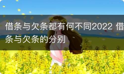借条与欠条都有何不同2022 借条与欠条的分别