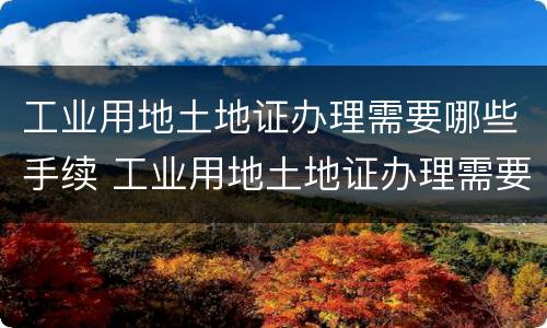 工业用地土地证办理需要哪些手续 工业用地土地证办理需要哪些手续和证件