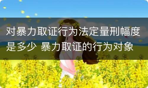 对暴力取证行为法定量刑幅度是多少 暴力取证的行为对象