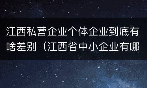 江西私营企业个体企业到底有啥差别（江西省中小企业有哪些）