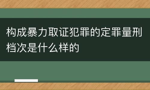 构成暴力取证犯罪的定罪量刑档次是什么样的