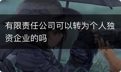 有限责任公司可以转为个人独资企业的吗