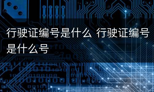 行驶证编号是什么 行驶证编号是什么号