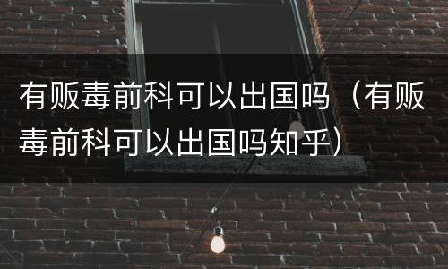 有贩毒前科可以出国吗（有贩毒前科可以出国吗知乎）