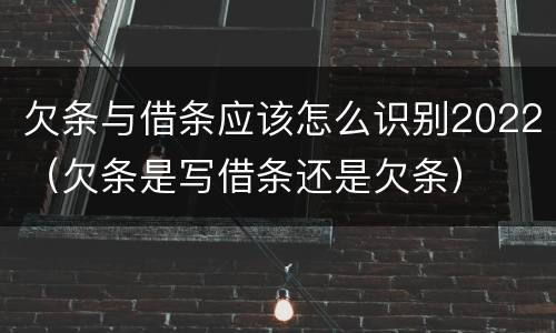 欠条与借条应该怎么识别2022（欠条是写借条还是欠条）