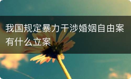 我国规定暴力干涉婚姻自由案有什么立案